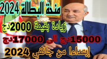 هتغير حياتك.. طريقة التسجيل في منحة البطالة بالجزائر 2024